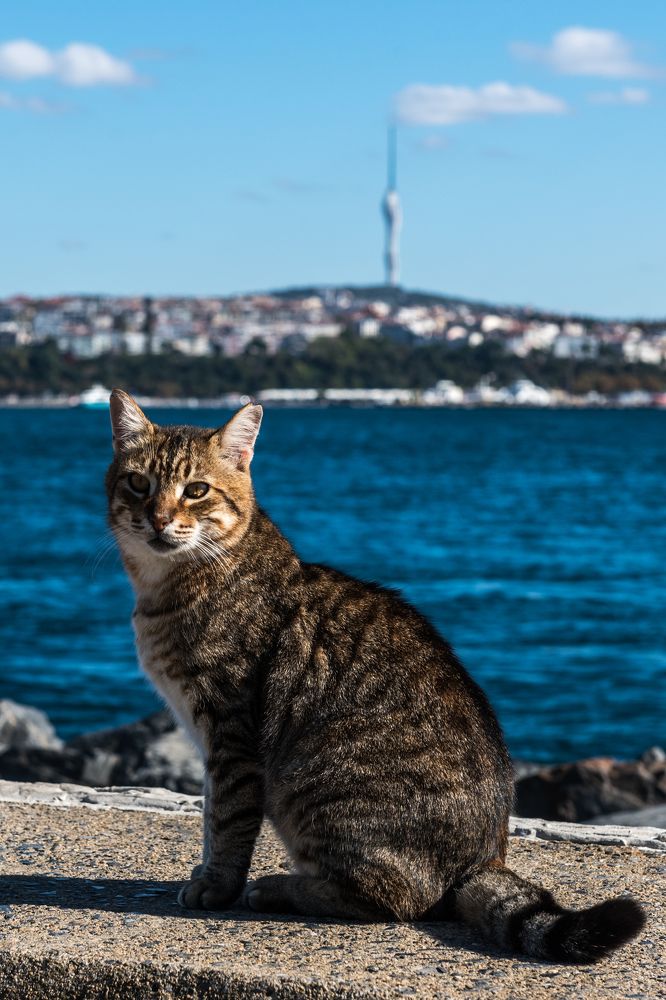 Photograph by Евгений Моляшов