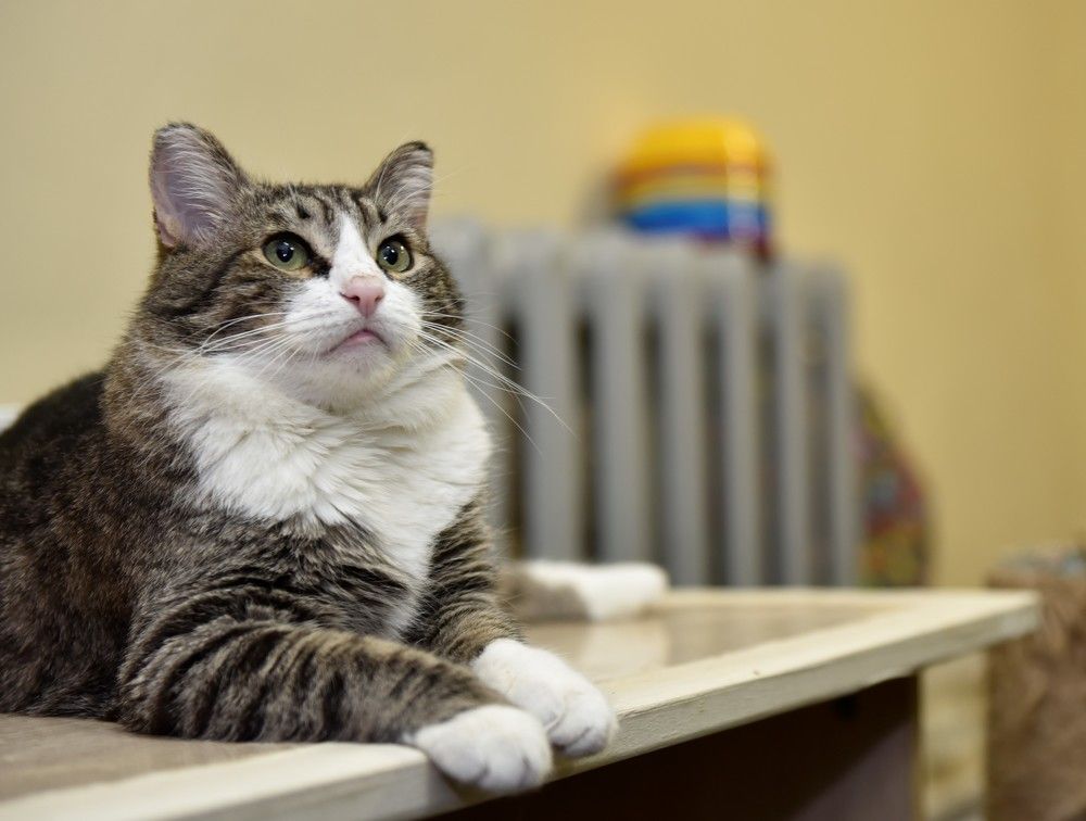 "А на улице весна!.."