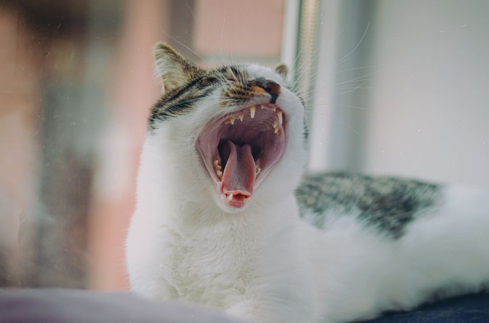 Photograph by Сергей Антонов