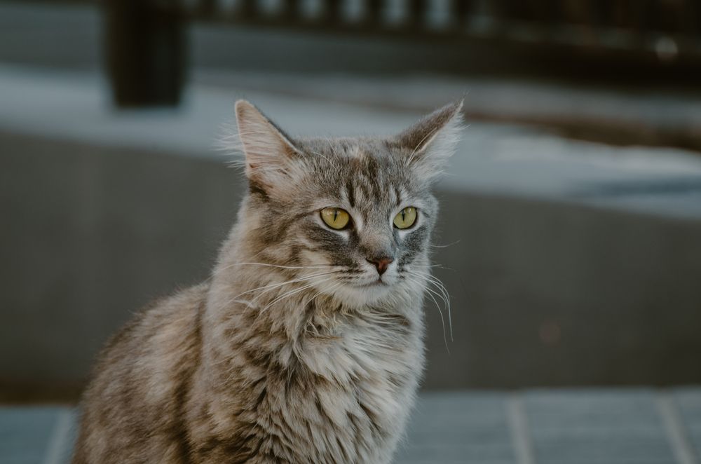 Photograph by Сергей Антонов