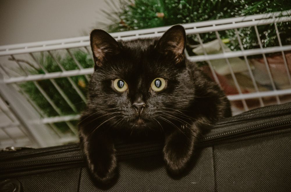 Photograph by Сергей Антонов