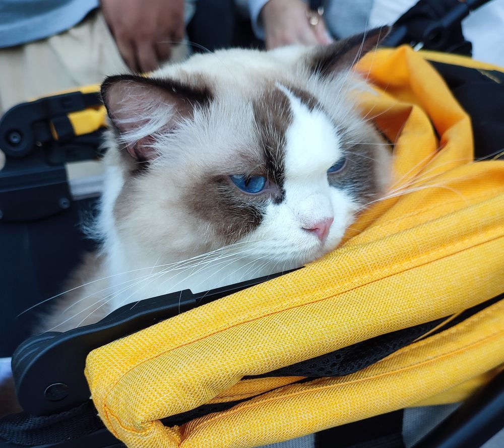 Photograph by Вахромова Елена