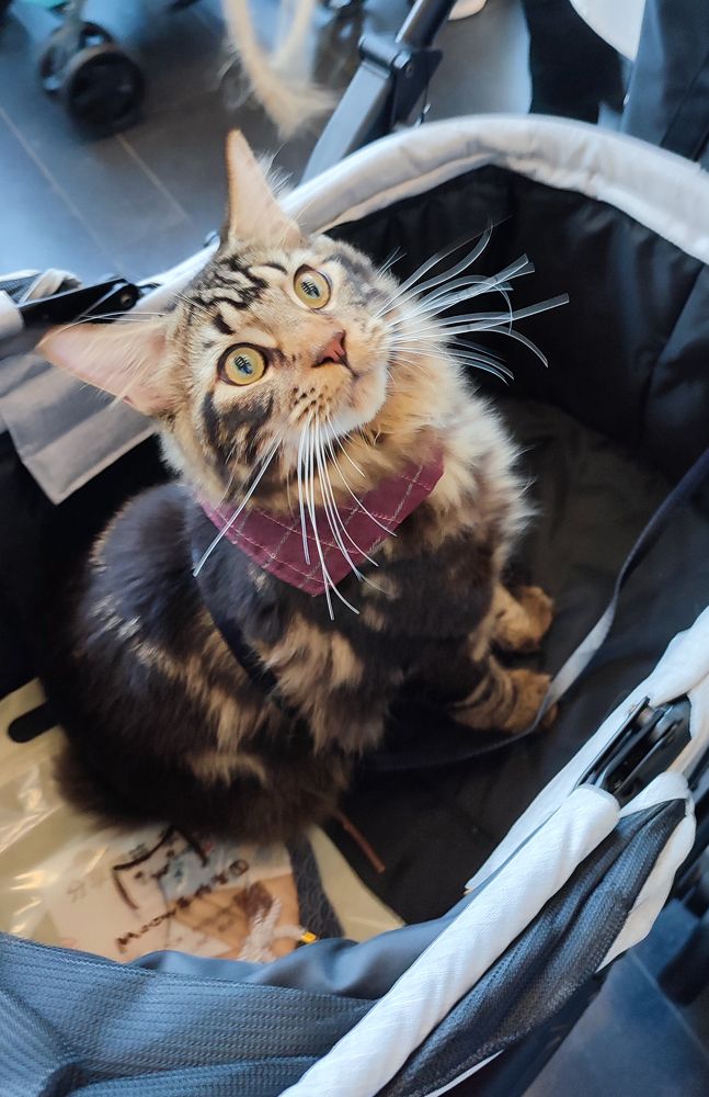 Photograph by Вахромова Елена