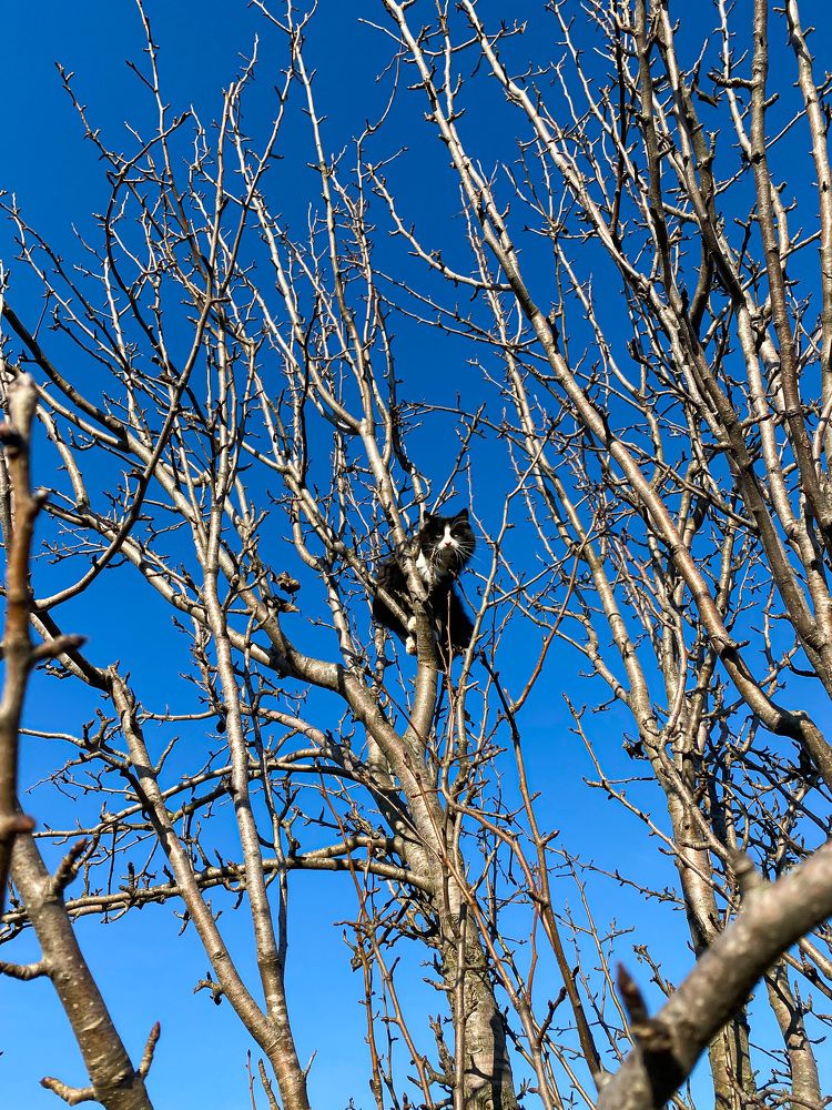 Photograph by Мария Чернецова