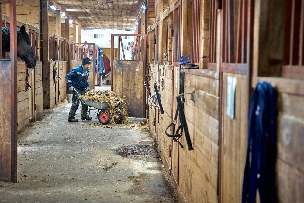 Фотография автора Бороненков Вадим