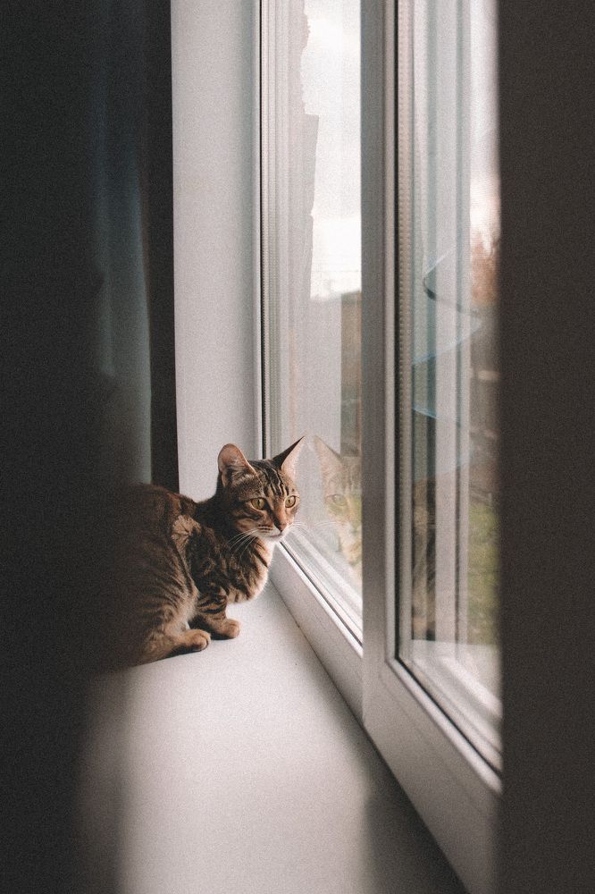 Photograph by Яна Нестерова