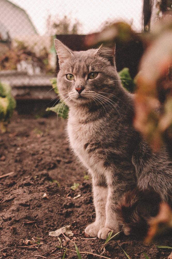 Photograph by Яна Нестерова