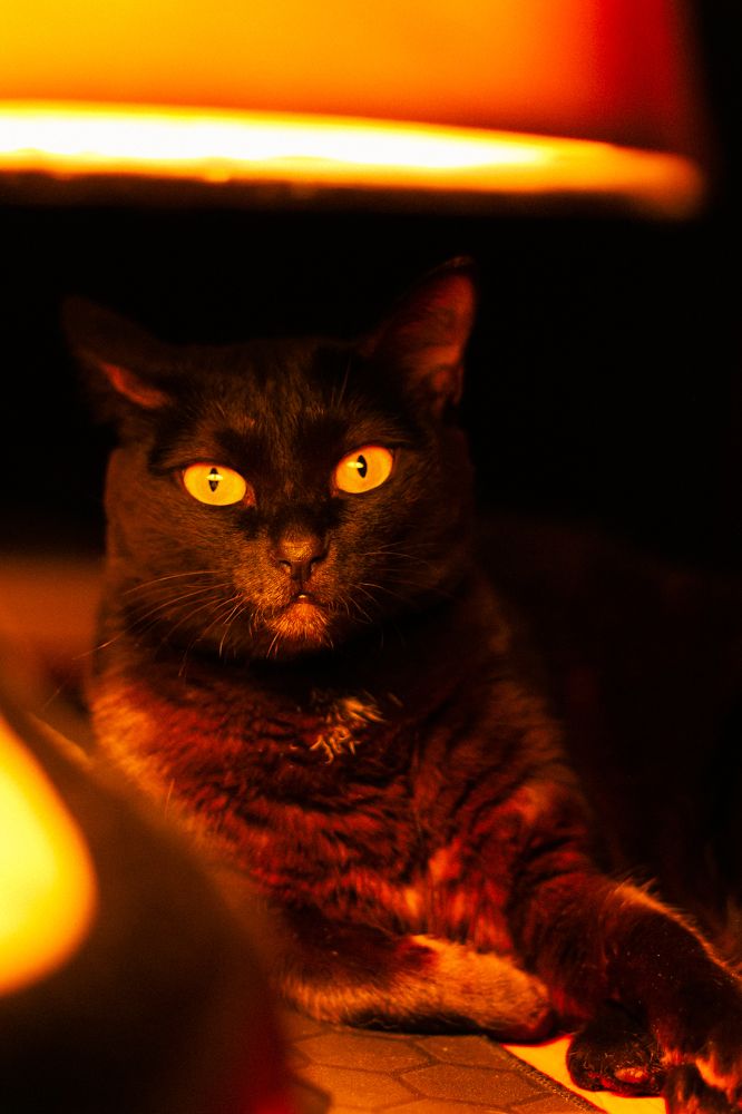 Photograph by Яна Нестерова