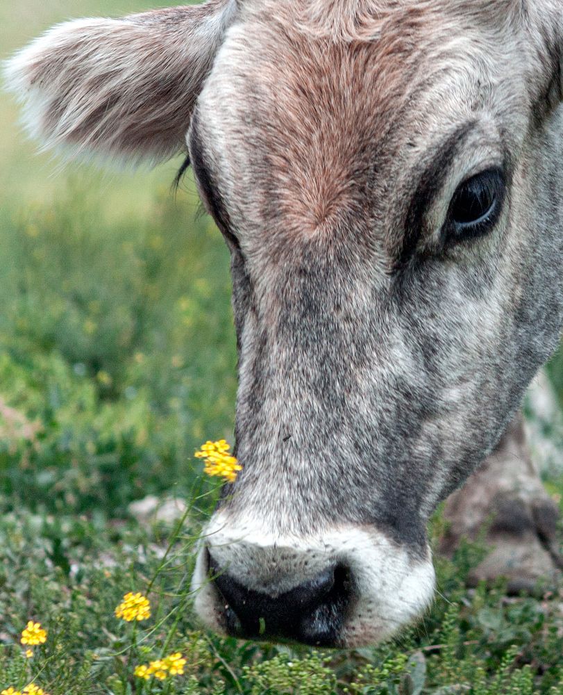 Photograph by Сергей Христинич