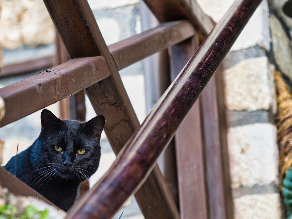 Photograph by Georgios Pallas