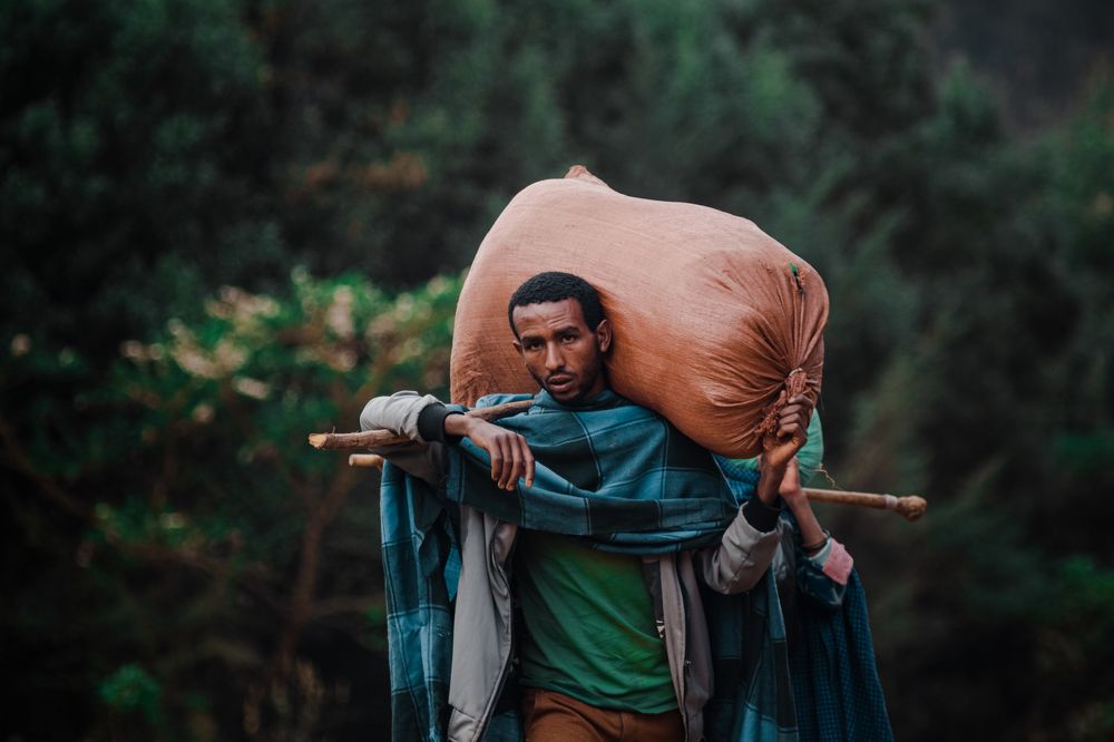 Фотография автора Bezaneh Eyob