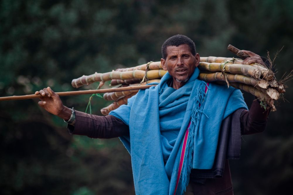 Фотография автора Bezaneh Eyob