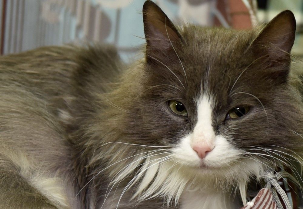 Photograph by Рената Абдуллина