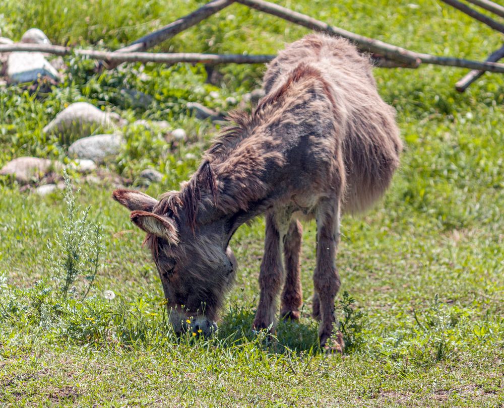Photograph by Сергей Христинич