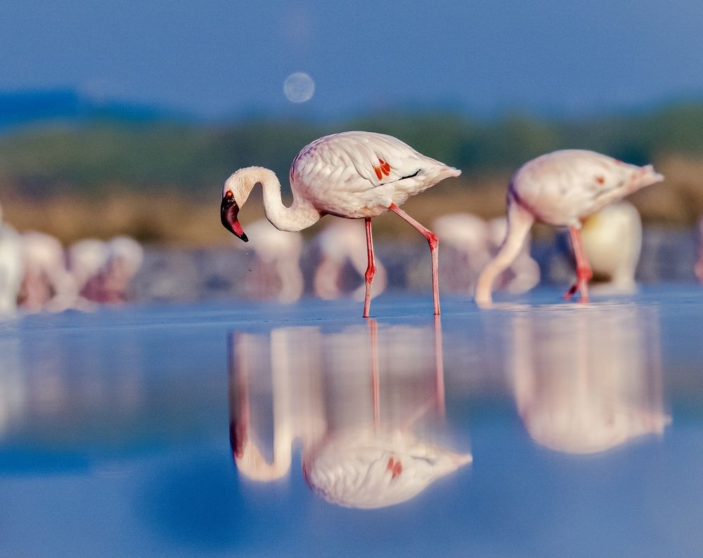 Photograph by Muralitharan M