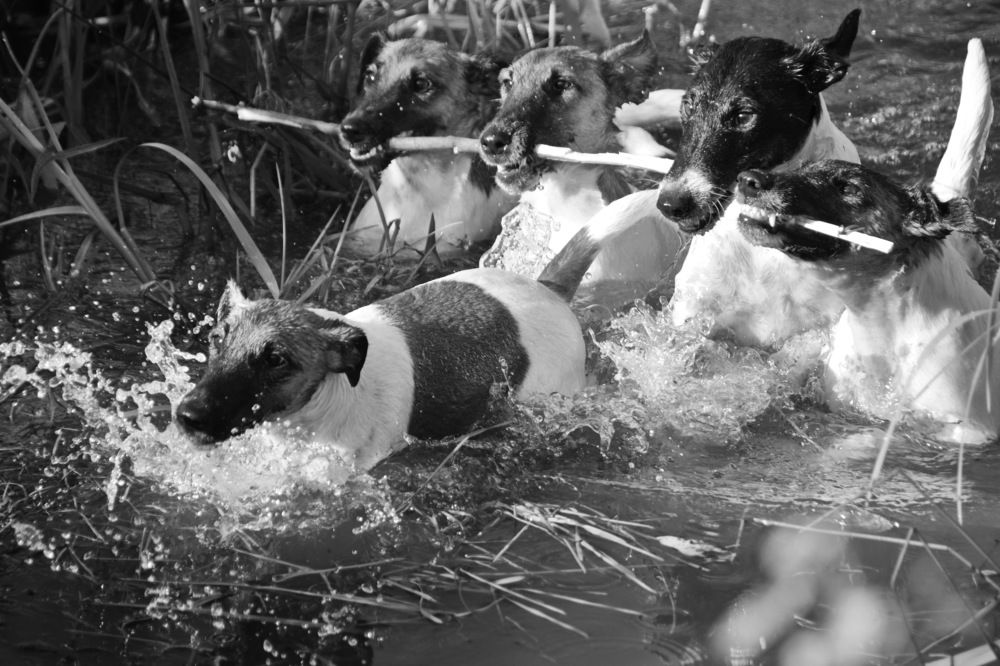 Photograph by Aleksandr