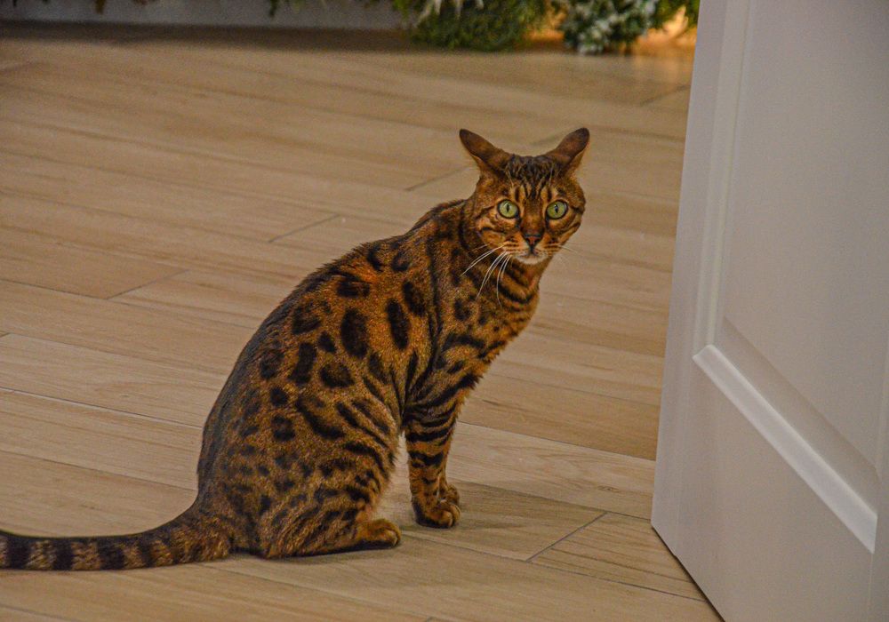 Photograph by Инна Гаджиева