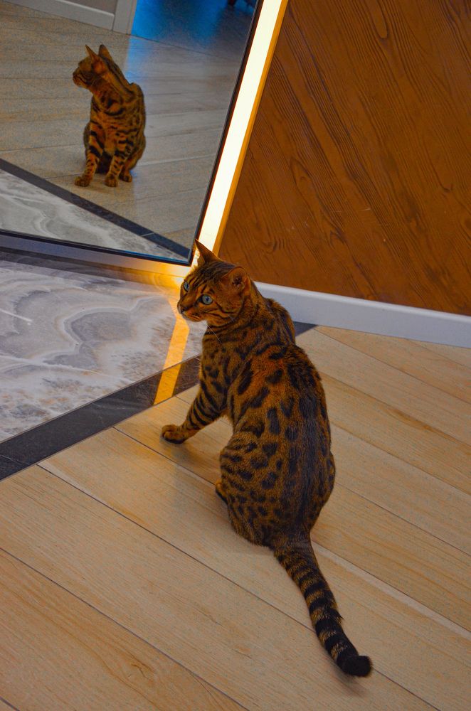 Photograph by Инна Гаджиева