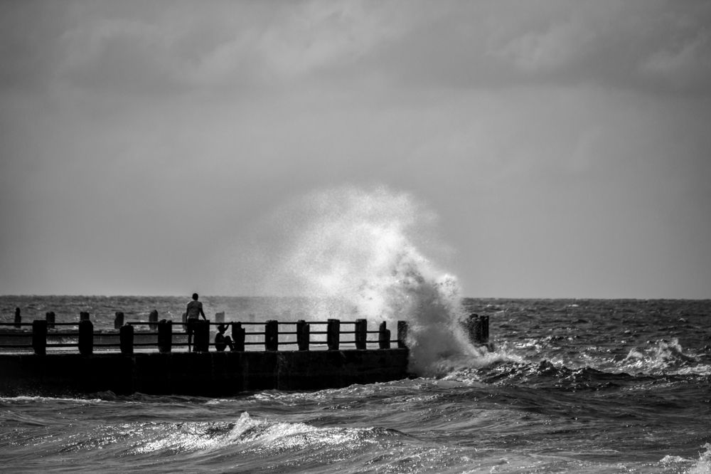 Photograph by Andy Acuña