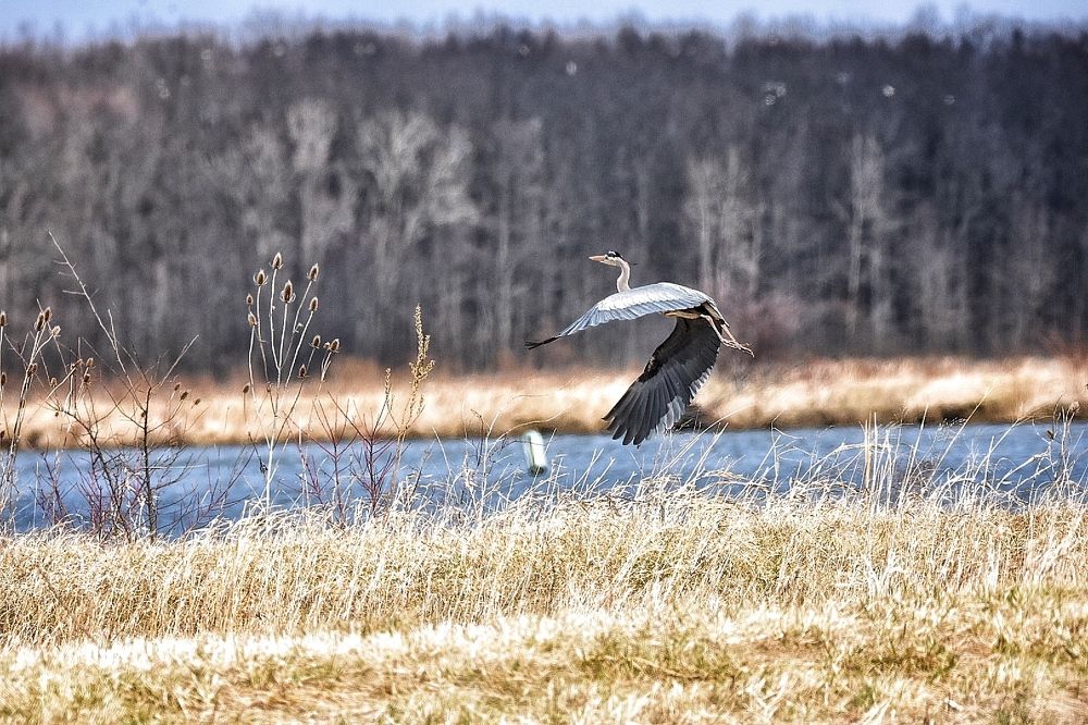 Photograph by Tyler Dewees