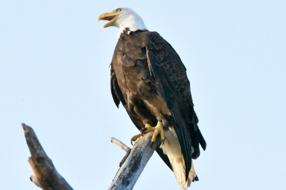 Photograph by Tyler Dewees