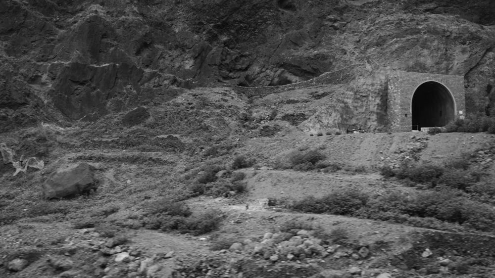 Photograph by João Paradela