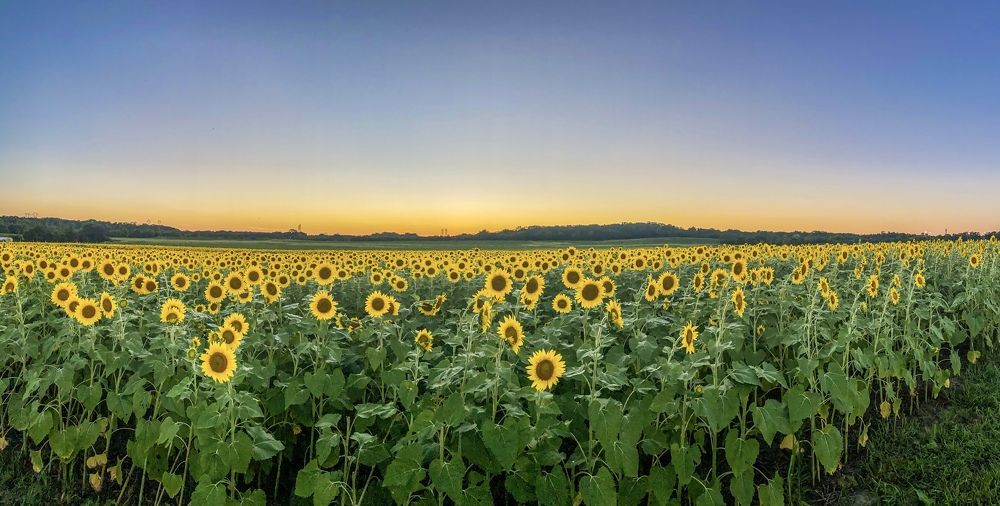 Photograph by Lisa Watkins