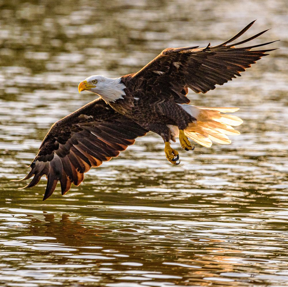 Photograph by Lisa Watkins