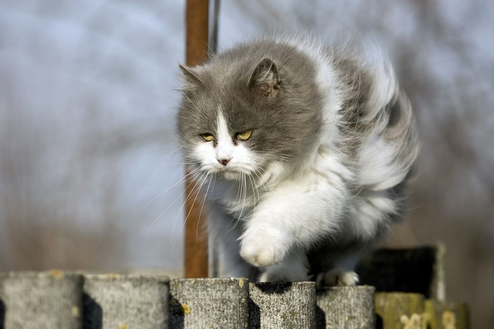 Photograph by Николай Ткач