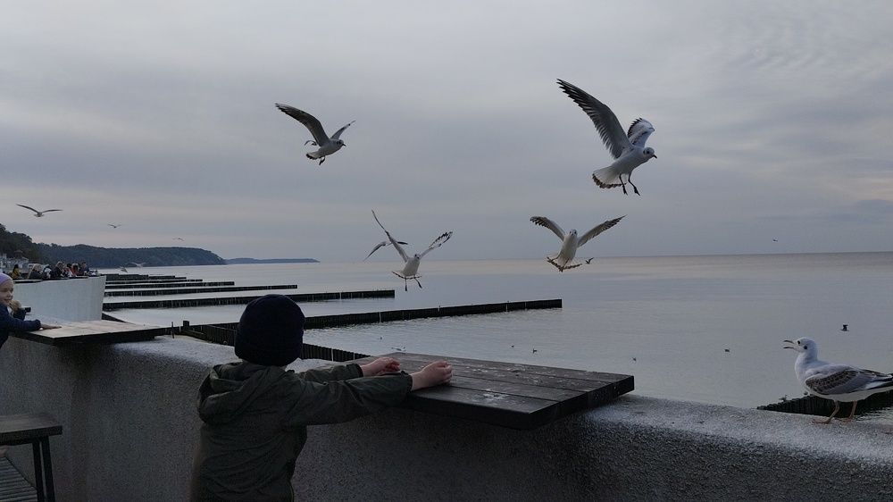 Photograph by Максим Бидяк