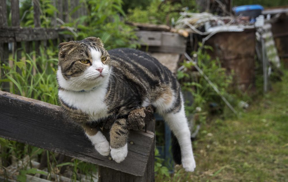 Photograph by Олег Малетин