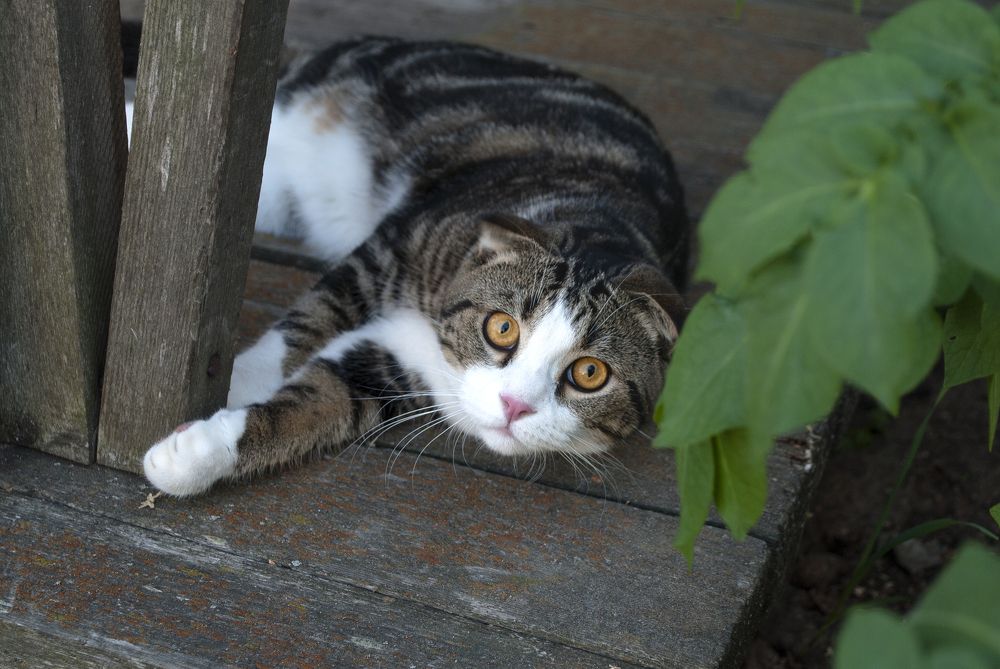 Photograph by Олег Малетин