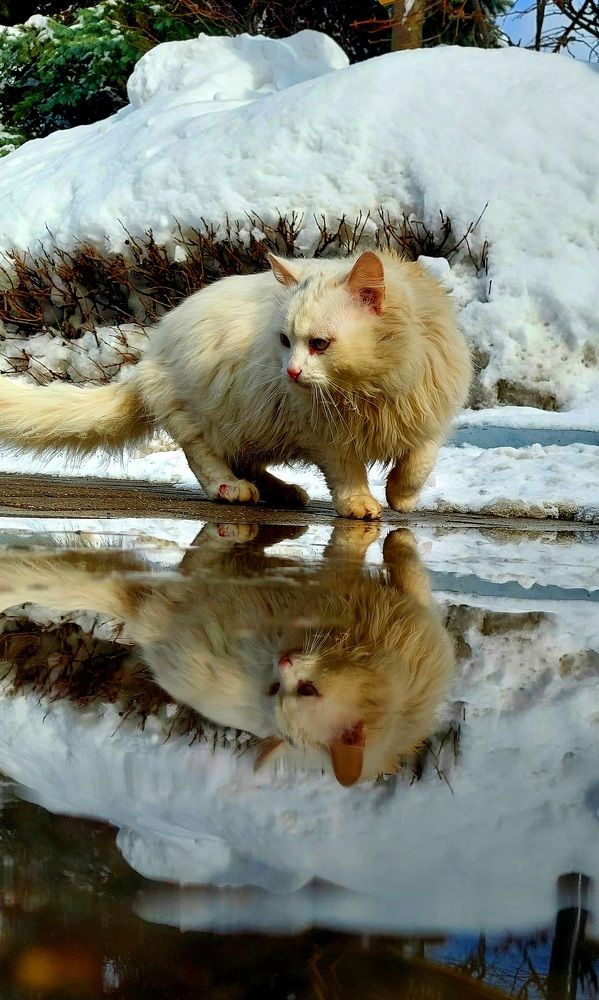 Фотография автора Виталий Петров