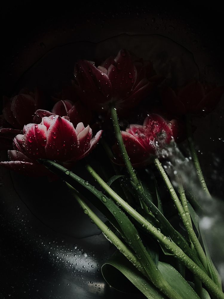 Photograph by Олена Уманцева