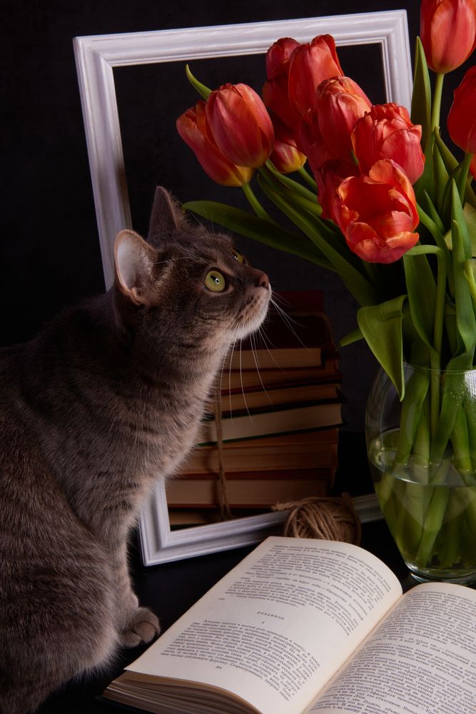 Photograph by Владимир Греков