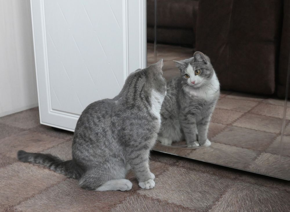 Photograph by Юрий Гау