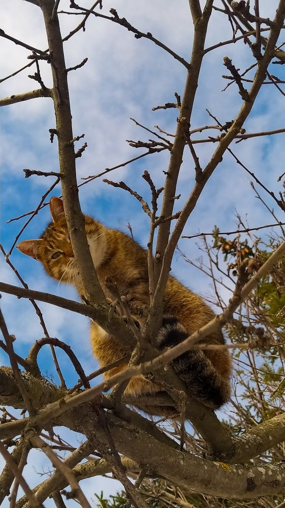 Photograph by Виталий Грачёв