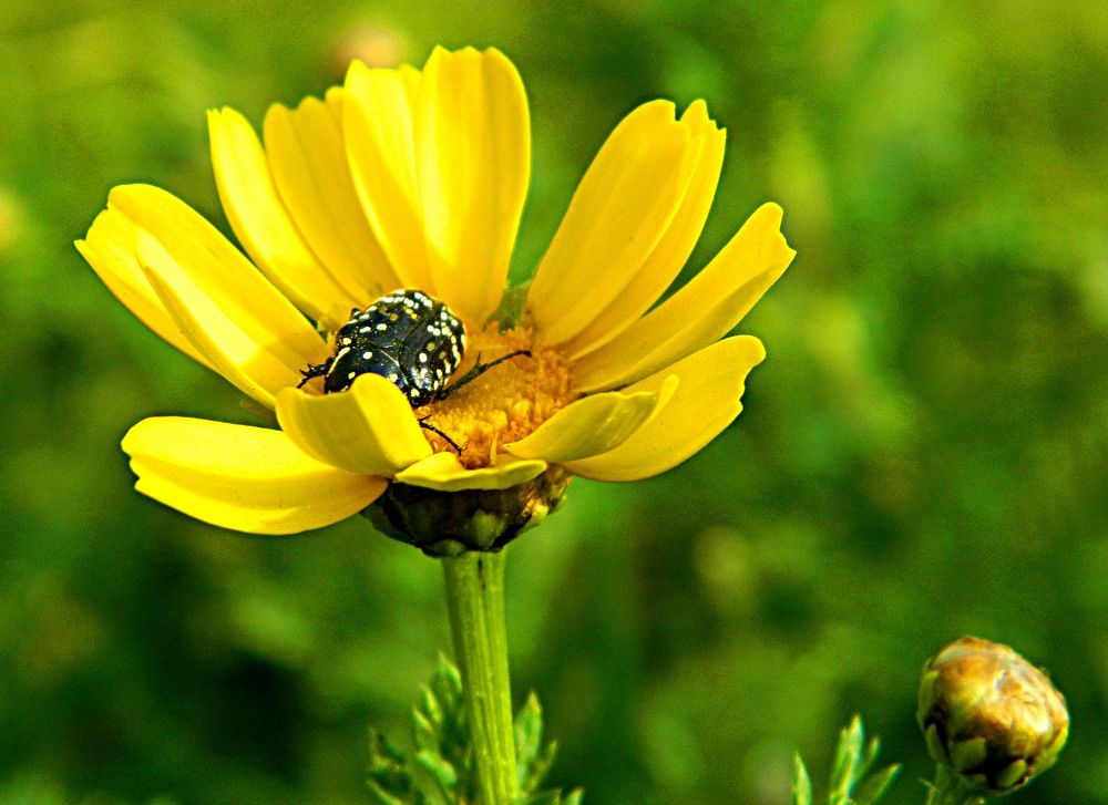 Photograph by Сергей Рапопорт