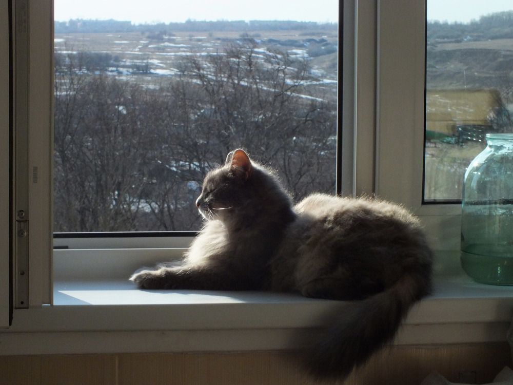 Photograph by Дмитрий Крылов