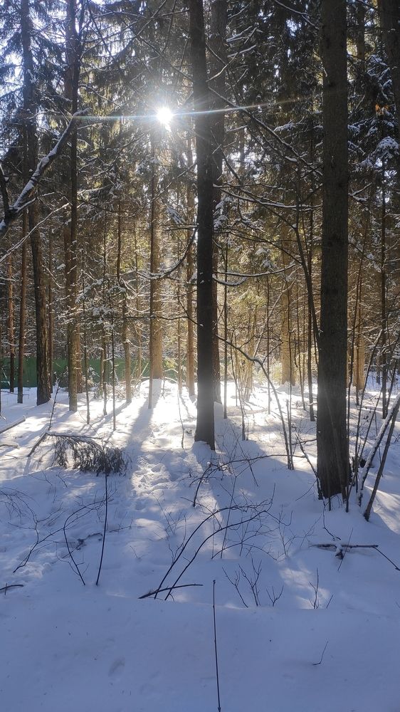 Photograph by Natalia Persidskaia