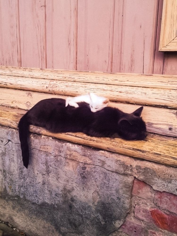 Photograph by СашаДД_