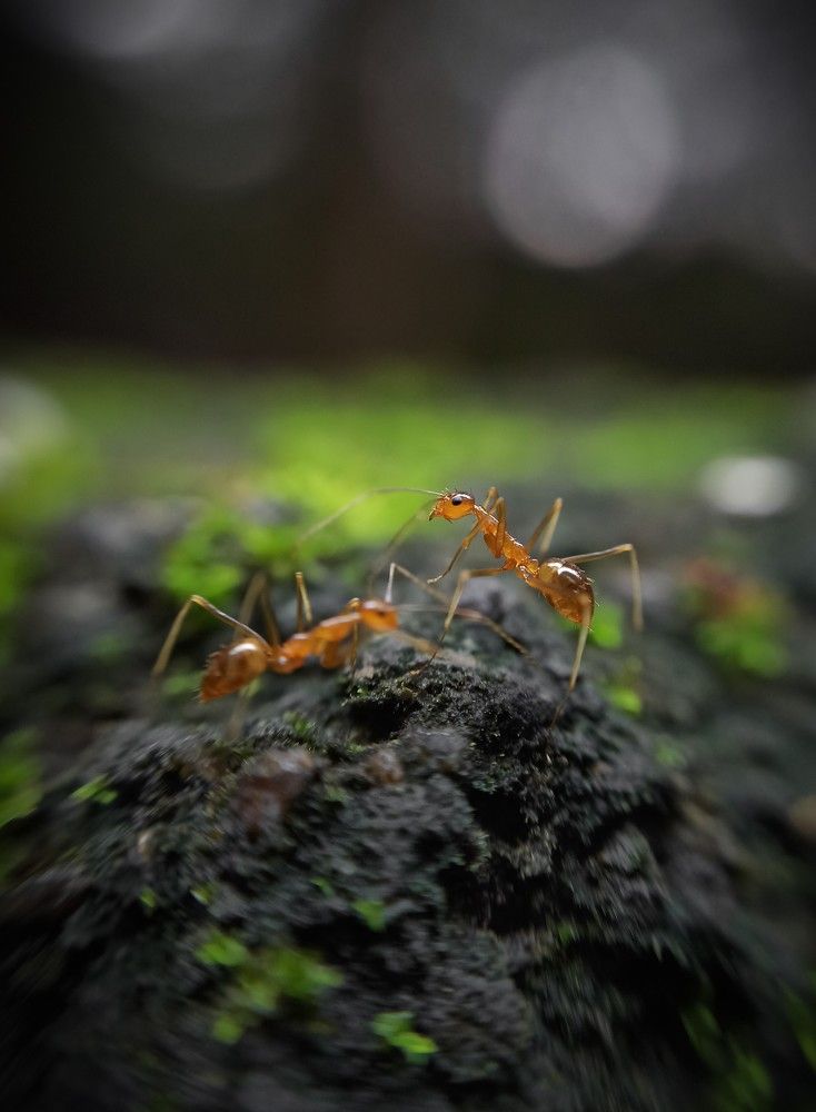 Photograph by ADARSH AJ