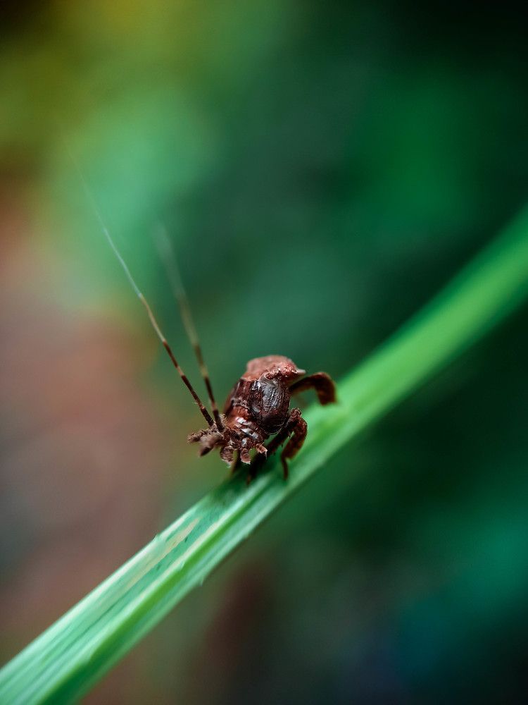 Photograph by ADARSH AJ