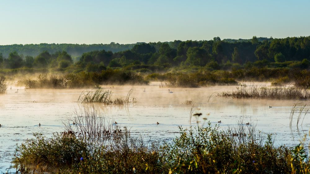 Photograph by Елена Баженова