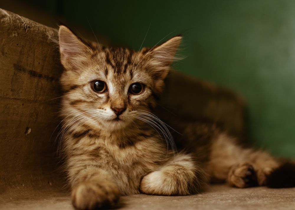 Photograph by Сергей Дишук