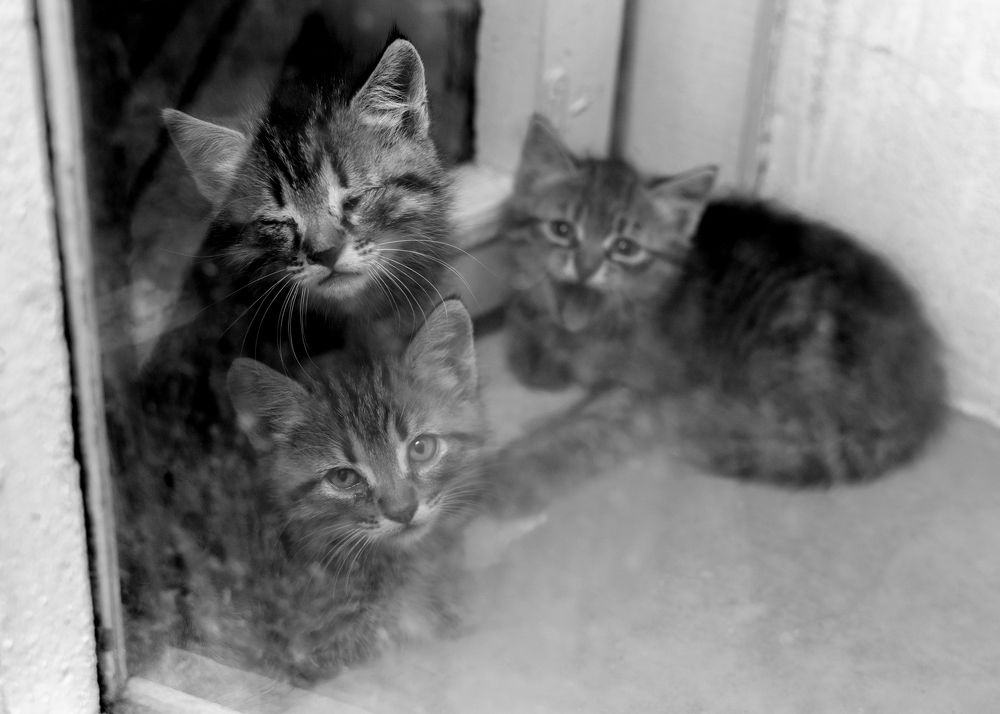 Photograph by Сергей Дишук