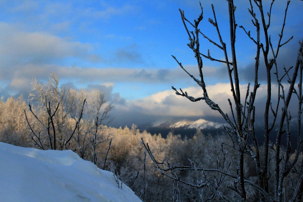 Photograph by TATIANA MASYCHEVA