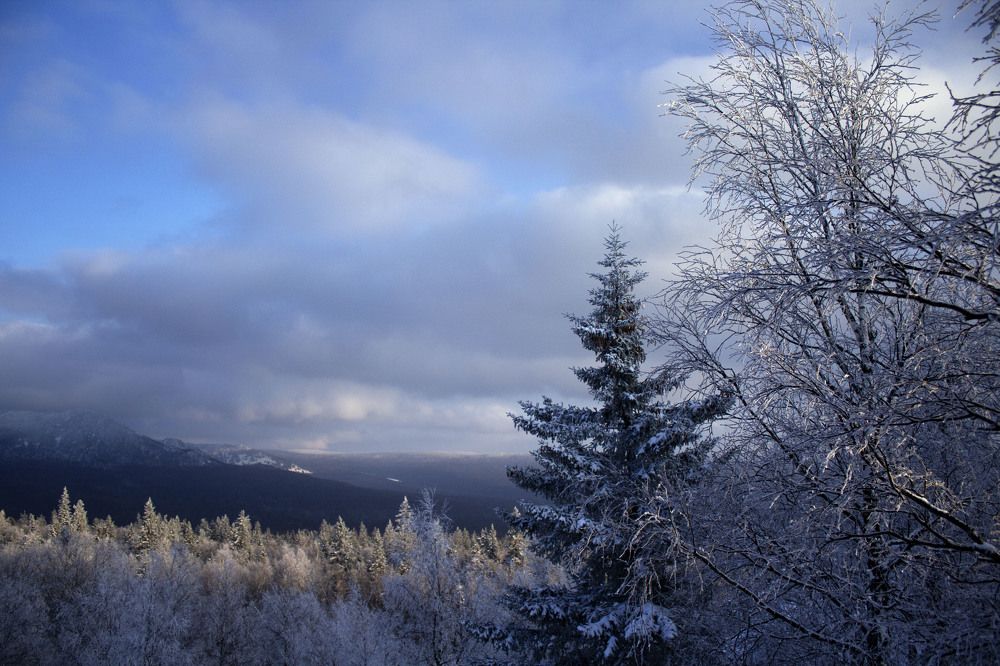 Photograph by TATIANA MASYCHEVA