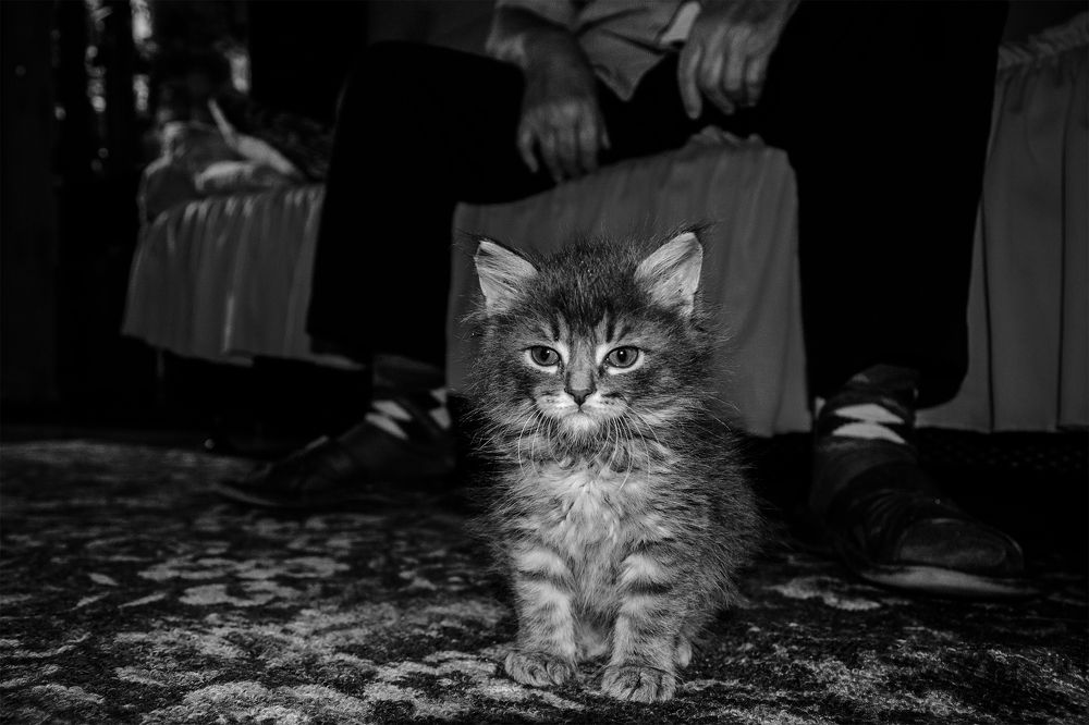 Photograph by Сергей Дишук