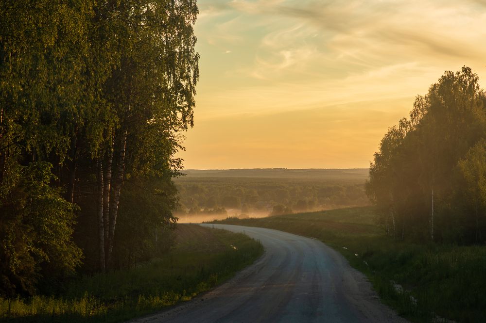 Photograph by Елена Баженова